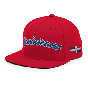 Republica Dominicana Baseball Snapback Hat